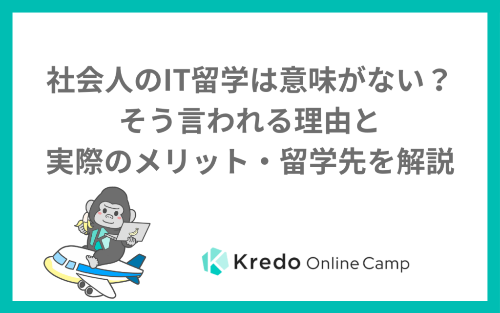 社会人のIT留学は意味がない？そう言われる理由と実際のメリット・留学先を解説