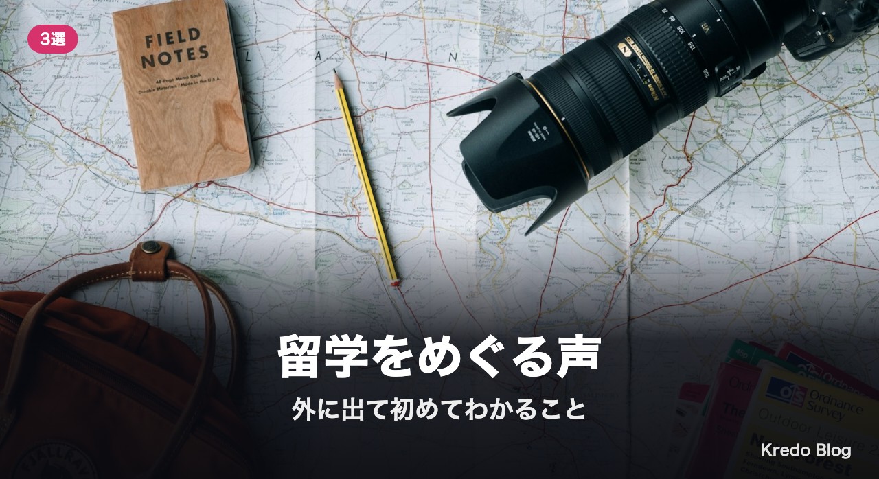 留学をめぐる声